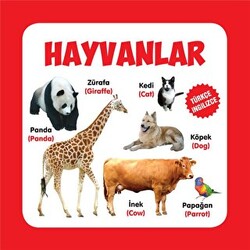 Hayvanlar - 1