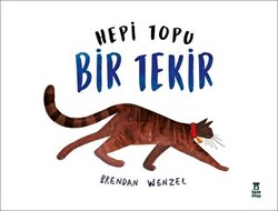 Hepi Topu Bir Tekir - 1