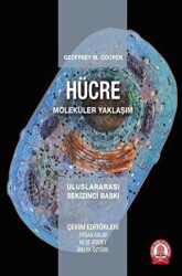 Hücre Moleküler Yaklaşım - 1