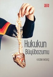 Hukukun Büyübozumu - 1