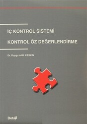 İç Kontrol Sistemi - 1