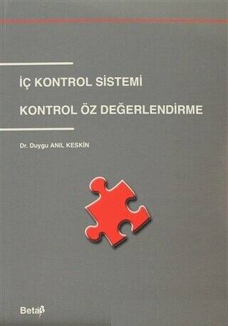 İç Kontrol Sistemi - 1