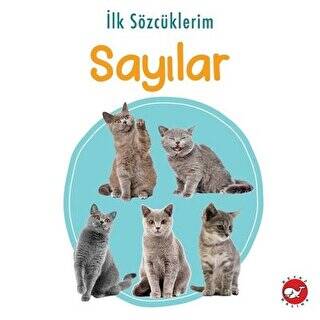 İlk Sözcüklerim - Sayılar - 1