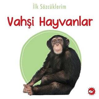 İlk Sözcüklerim -Vahşi Hayvanlar - 1