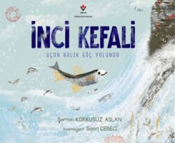 İnci Kefali - 1