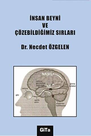 İnsan Beyni ve Çözebildiğimiz Sırları - 1