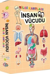 İnsan Vücudu - Bilgi Kartları - 1