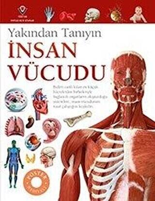 İnsan Vücudu - Yakından Tanıyın - 1