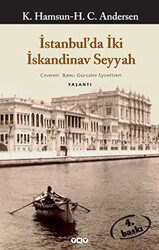 İstanbul’da İki İskandinav Seyyah - 1