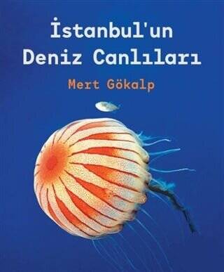 İstanbul`un Deniz Canlıları - 1