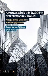 Kamu Kesiminin Büyüklüğü ve Performansının Analizi - 1