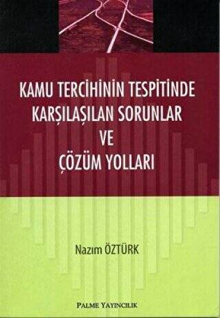 Kamu Tercihinin Tespitinde Karşılaşılan Sorunlar ve Çözüm Yolları - 1