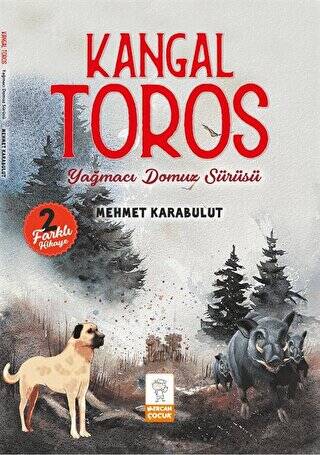 Kangal Toros - Yağmacı Domuz Sürüsü - 1