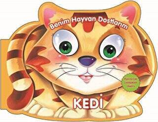 Kedi - Benim Hayvan Dostlarım - 1