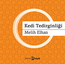 Kedi Tedirginliği - 1