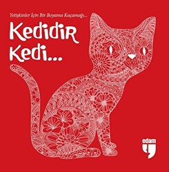 Kedidir Kedi - 1