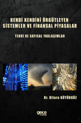 Kendi Kendini Örgütleyen Sistemler ve Finansal Piyasalar : Teori ve Sayısal Yaklaşımlar - 1