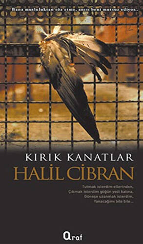 Kırık Kanatlar - 1