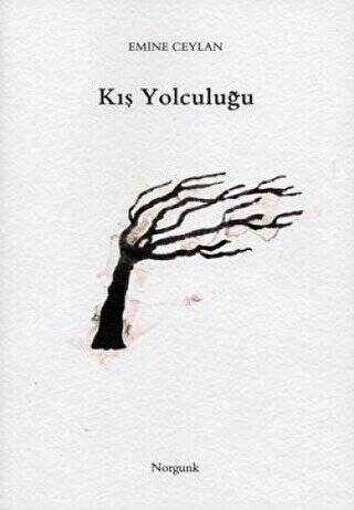 Kış Yolculuğu - 1