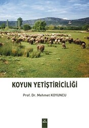 Koyun Yetiştiriciliği - 1