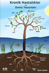 Kronik Hastalıklar ve Deniz Yosunları - 1