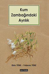 Kum Zambağındaki Ayrılık - 1