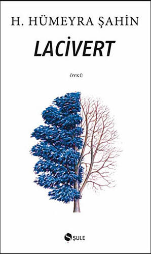 Lacivert - 1