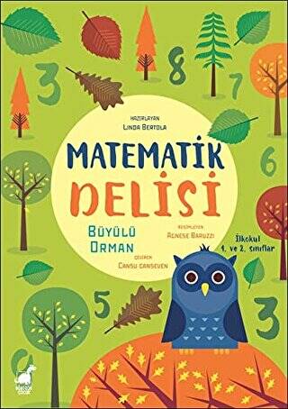 Matematik Delisi - Büyülü Orman - 1