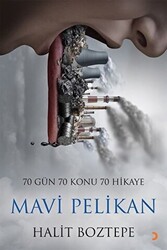 Mavi Pelikan - 1