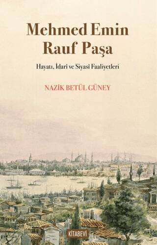 Mehmed Emin Rauf Paşa Hayatı, İdarî ve Siyasî Faaliyetleri - 1