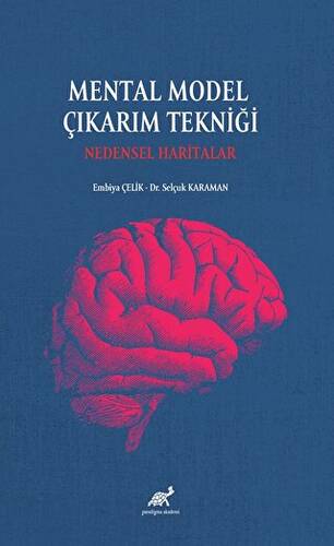 Mental Model Çıkarım Tekniği: Nedensel Haritalar - 1