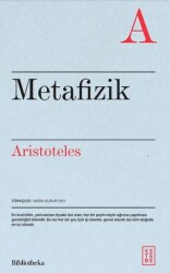 Metafizik - 1