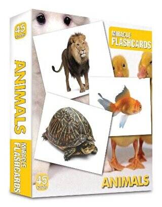 Miracle Flashcards - Animals Box 45 Cards - 1