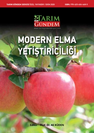 Modern Elma Yetiştiriciliği - 1