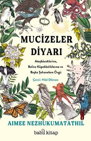 Mucizeler Diyarı: Ateşböceklerine, Balina Köpekbalıklarına ve Başka Şahanelere Övgü - 1