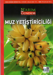 Muz Yetiştiriciliği - 1