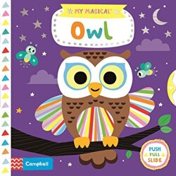 My Magical Owl - 1