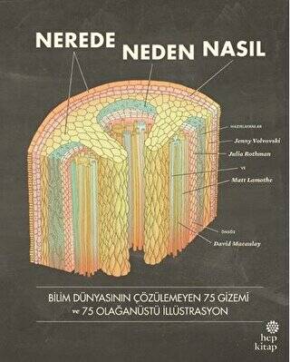 Nerede, Neden, Nasıl - 1