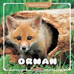 Orman - Hayvanlar Dünyası - 1