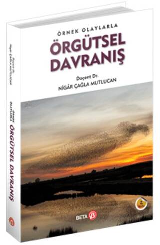 Örnek Olaylarla Örgütsel Davranış - 1