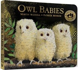 Owl Babies - 1