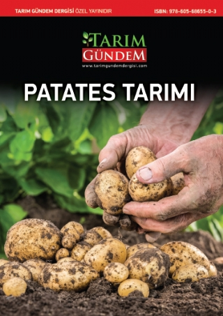 Patates Tarımı - 1