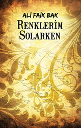 Renklerim Solarken - 1