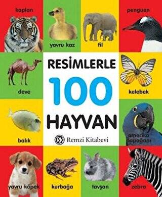 Resimlerle 100 Hayvan Küçük Boy - 1