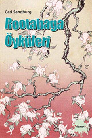 Rootabaga Öyküleri - 1