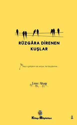 Rüzgara Direnen Kuşlar - 1