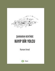 Şahmaran Kentinde Kayıp Bir Yolcu - 1