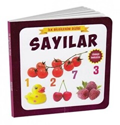 Sayılar - İlk Bilgilerim Dizisi - 1