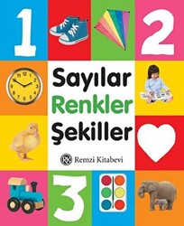 Sayılar Renkler Şekiller - 1