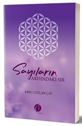 Sayıların Ardındaki Sır - 1